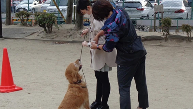 ドッグトレーナーから動物について学んでいる写真