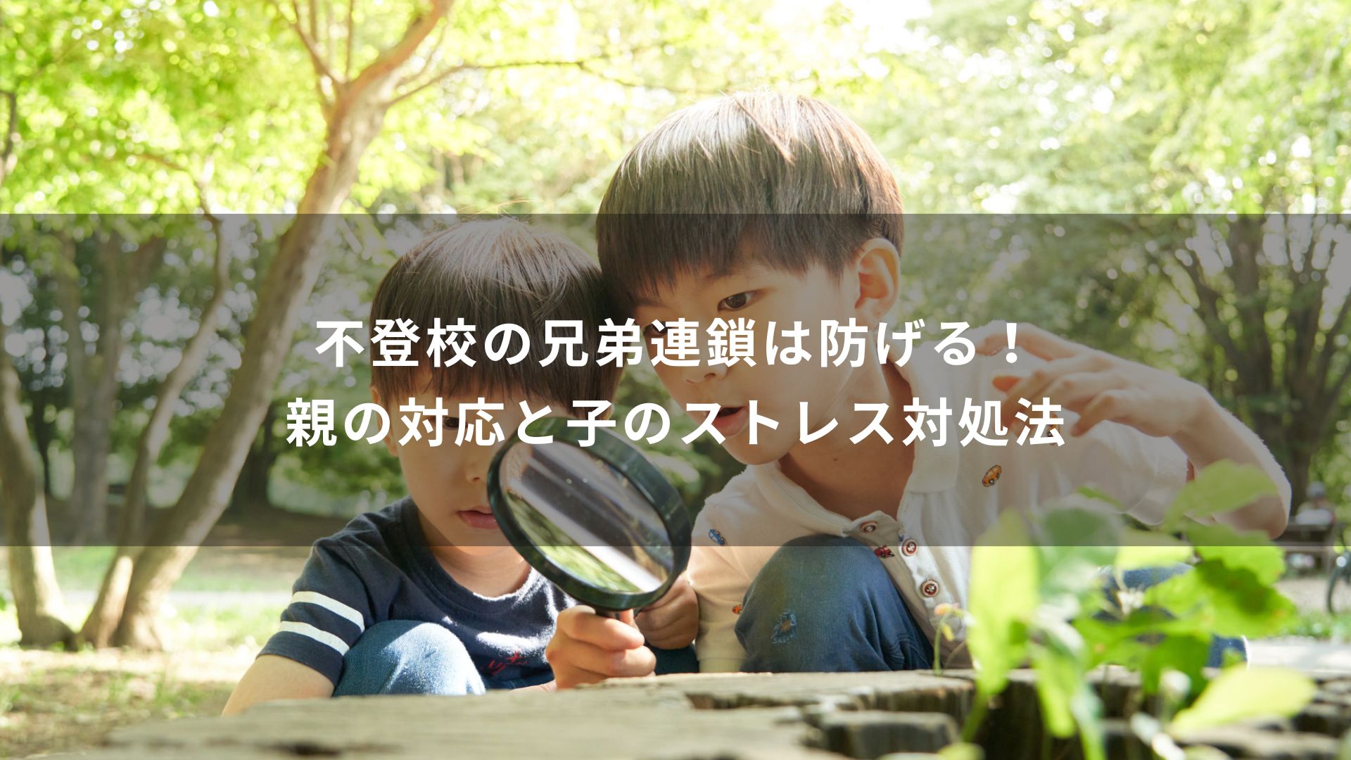 不登校　兄弟　連鎖