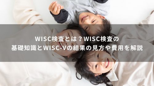 WISC検査とは？WISC検査の基礎知識とWISC-Vの結果の見方や費用を解説